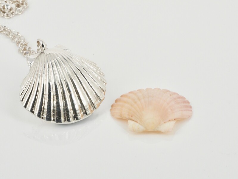 Lynaire Kibblewhite Goldsmith Seashells Jewels Of The Ocean